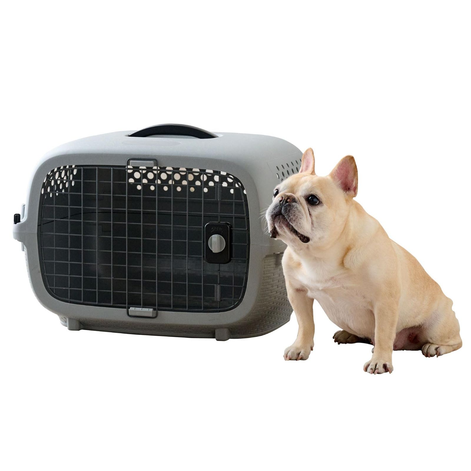 【OFT】 ペットケンネル ファーストクラス L60 ワイド グレー キャリー ペット クレート 犬 猫 ハード ケース コンテナ 小型犬 中型犬 すのこ 防災 通院 ハウス キャリーバッグ サイズ バック ゲージ ケージ バリケンネル バリケン 水飲み