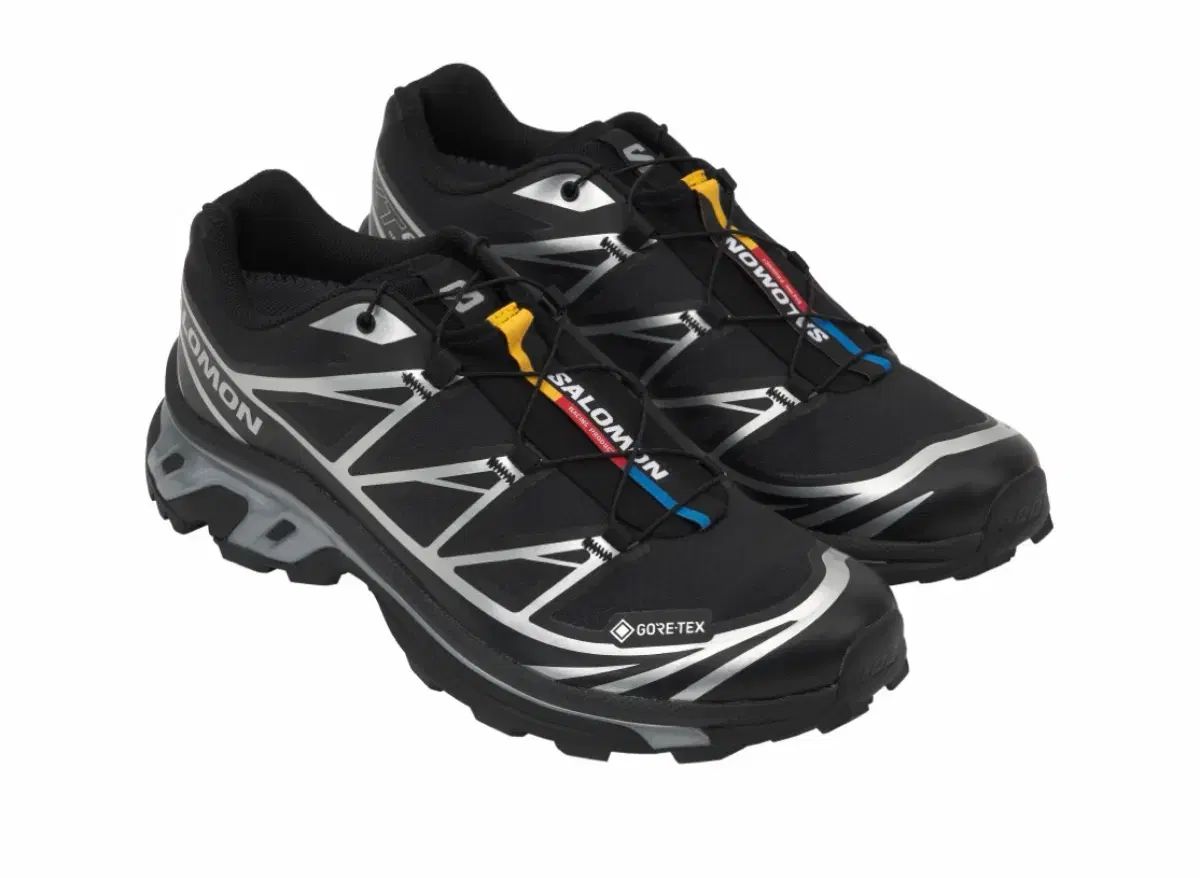 (225) SALOMON サロモン xt-6 gtx