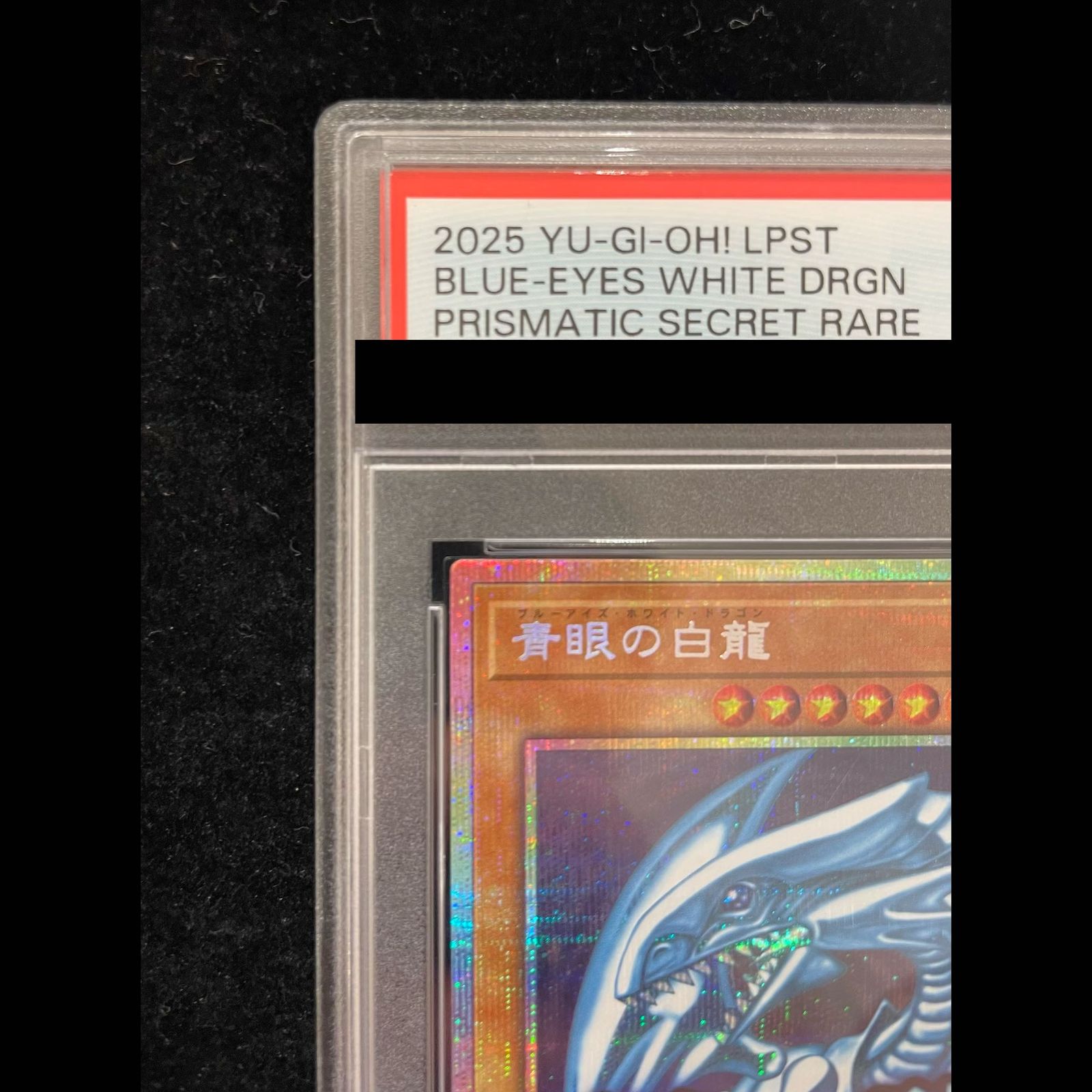 PSA10】青眼の白龍 プリズマティックシークレットレア LPST-JP003 1枚