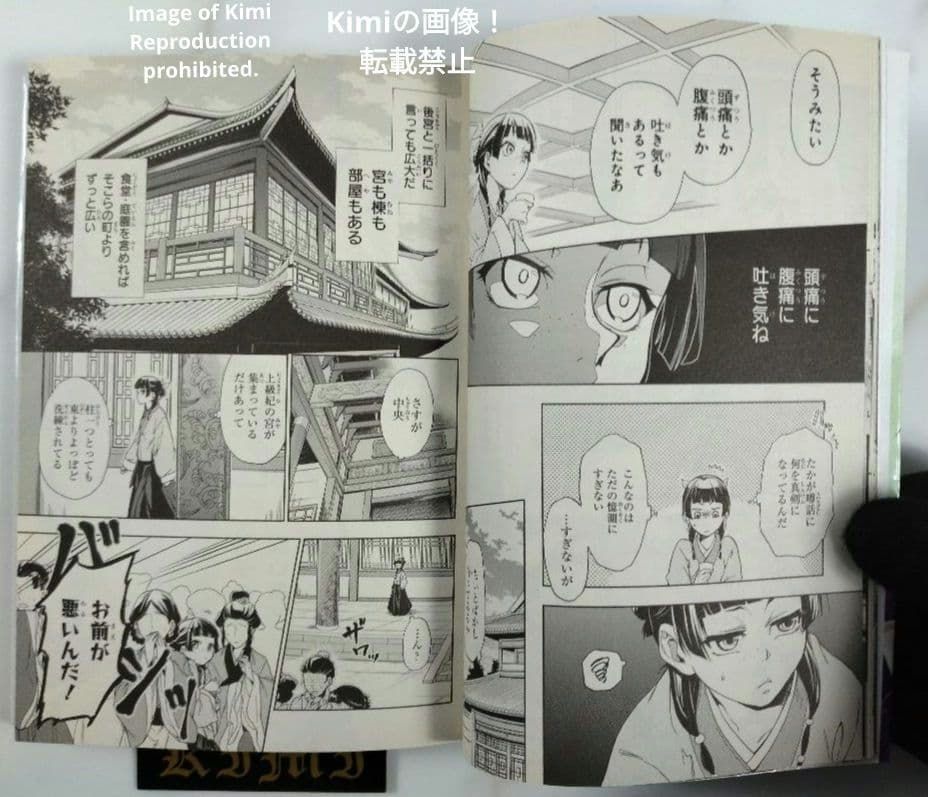 薬屋のひとりごと 1 2017 コミック マンガ 本 初版 第1刷発行 日向夏 ねこ
