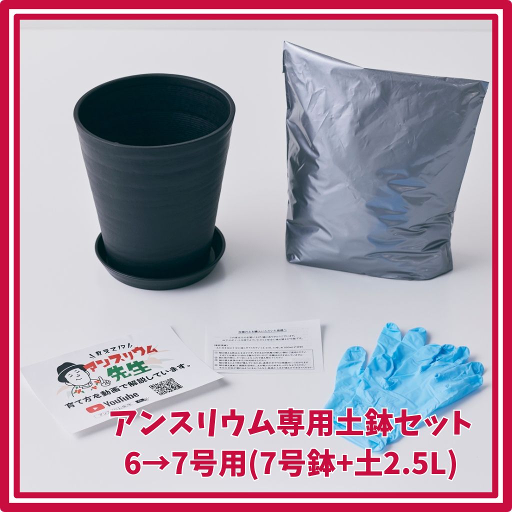 7号に植え替え用)アンスリウム 専用土・鉢植え替えセット 1.3L