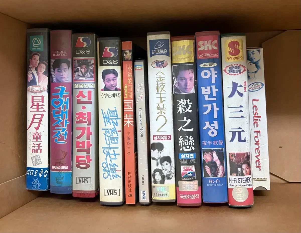 レスリー・チャン ビデオ 本 DVD まとめ 出品