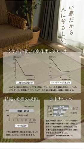 い草ラグ 花ござ カーペット ラグ 2畳 格子柄 市松柄 『DXピーア