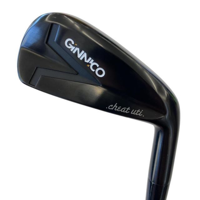 【中古】 イオンスポーツ GINNICO IRON UTILITY(ブラック) 25° ユーティリティ UT リシャフト (フレックスその他) メンズ 男性用 右利き 右用 Bランク ゴルフクラブ