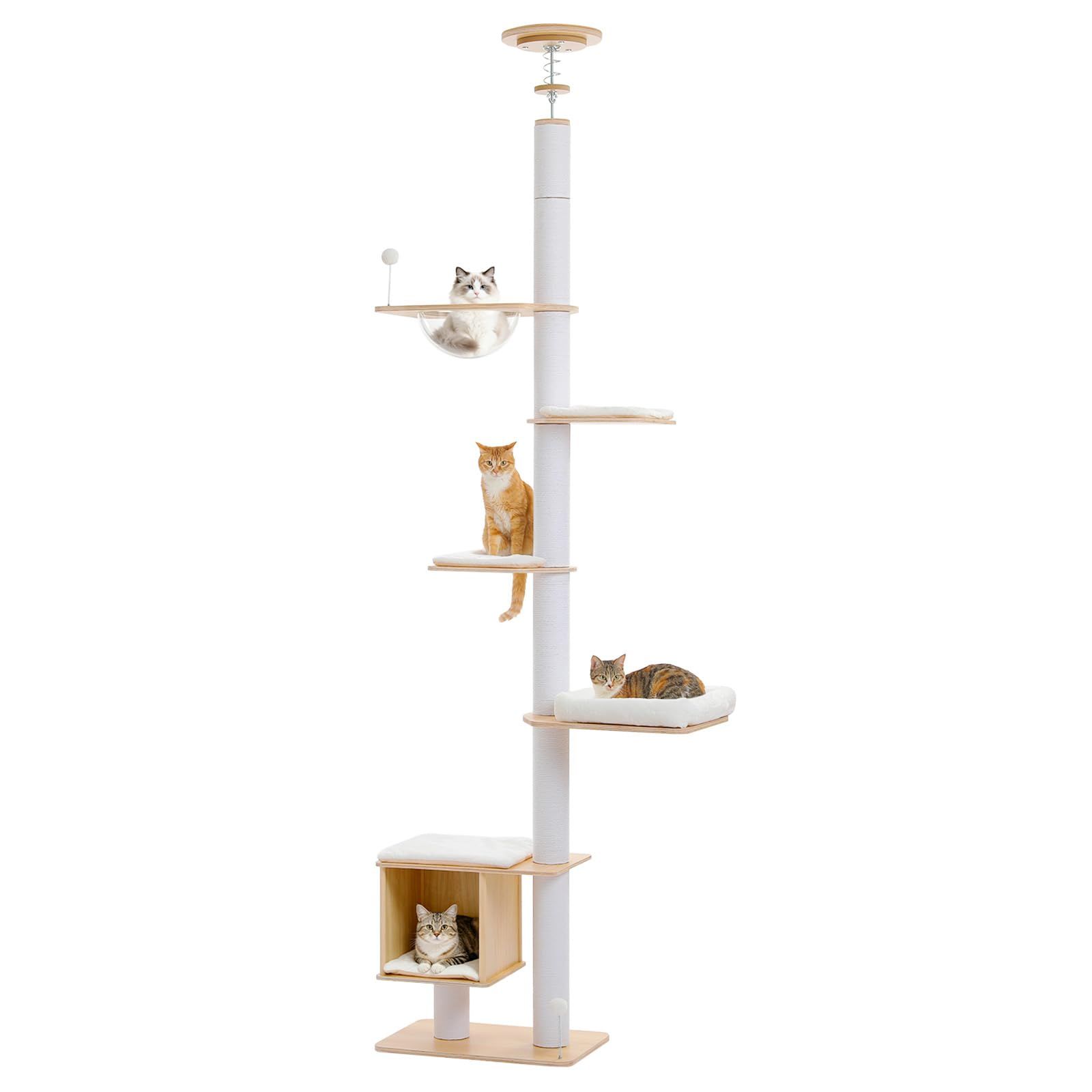 PAWZ Road キャットタワー 突っ張り 木製 大型猫用 猫タワー 10cm極太 つっぱり式 白綿ロープ 爪研ぎポール 木登りタワースリム おしゃれ 多頭飼い クリアボウル 宇宙船 滑り止めマット おもちゃ 夏 木目調 登りやすい インテリア 多機能 安定