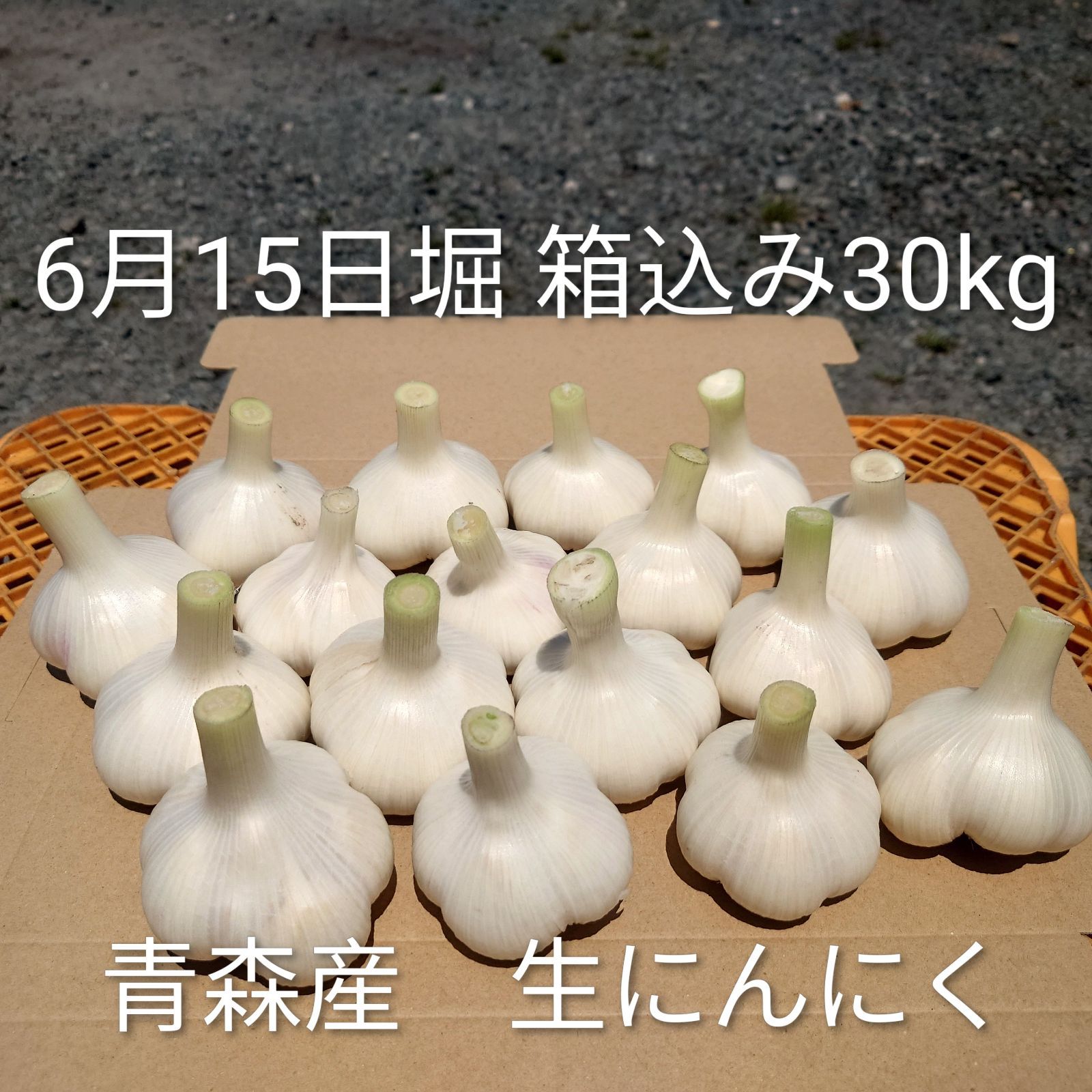 6月末まで '26年産 低農薬 生にんにく 30kg ホワイト6片 サイズ L~2L