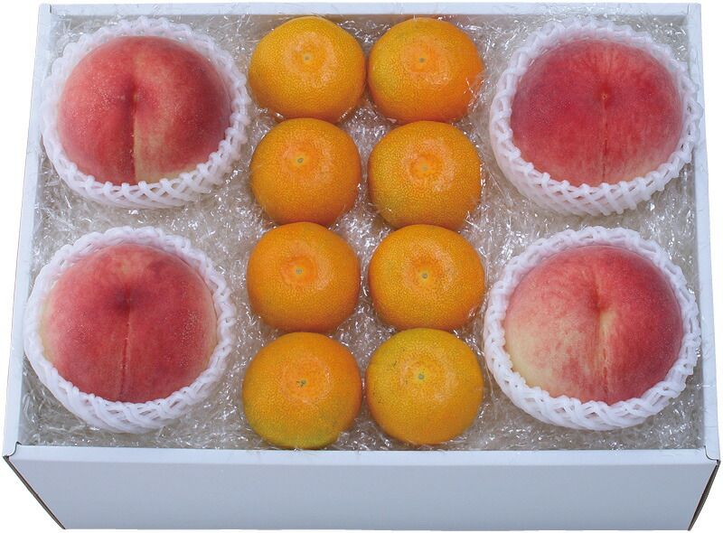 夏の贈り物お中元 山梨の桃とハウスみかん詰合せ 山梨県産桃（220g）×4、ハウスみかん500g
