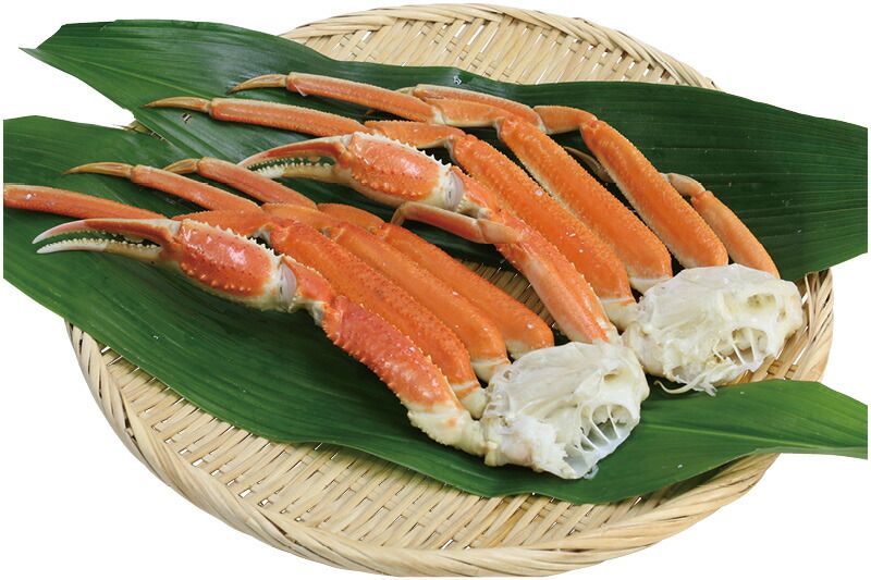 夏の贈り物お中元 ずわい蟹肩脚 ずわい蟹肩脚(カナダまたはアメリカまたはロシアまたは日本産)(250g)×2