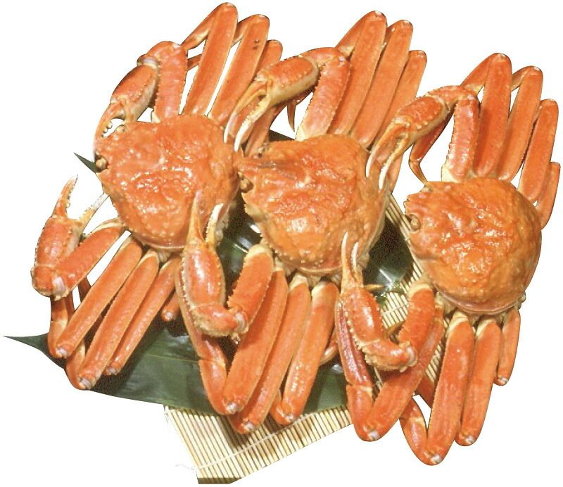 夏の贈り物お中元 北海道産おおずわいがに3尾 小樽海洋水産 おおずわいがに（500g）×3