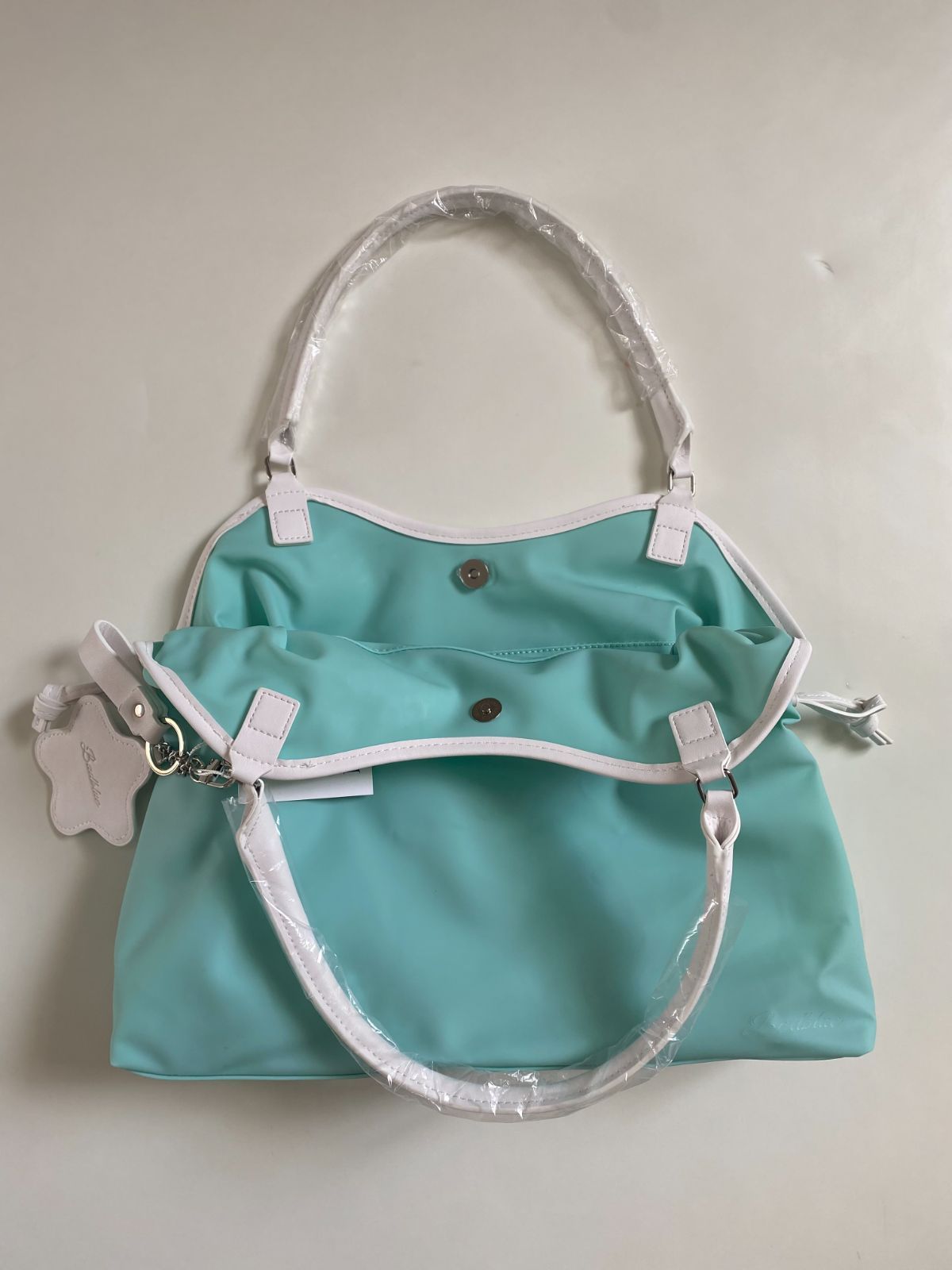 BAD BLUE Jelly DimsumBag Mint - メルカリ