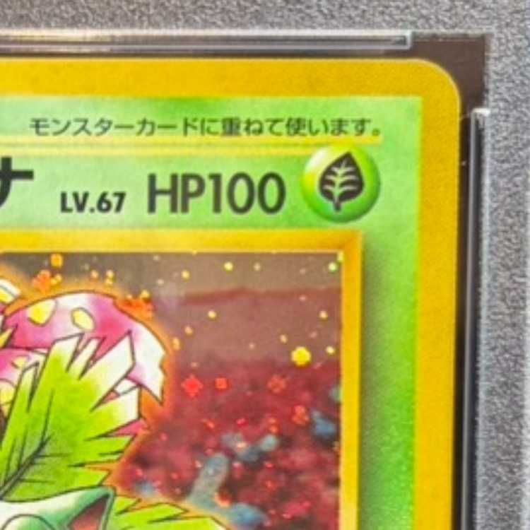 フシギバナ とりかえっこプリーズ キャンペーンカード プロモ 第1世代 旧裏 PSA10】 フシギバナ 《「とりかえっこプリーズ」キャンペーンカード