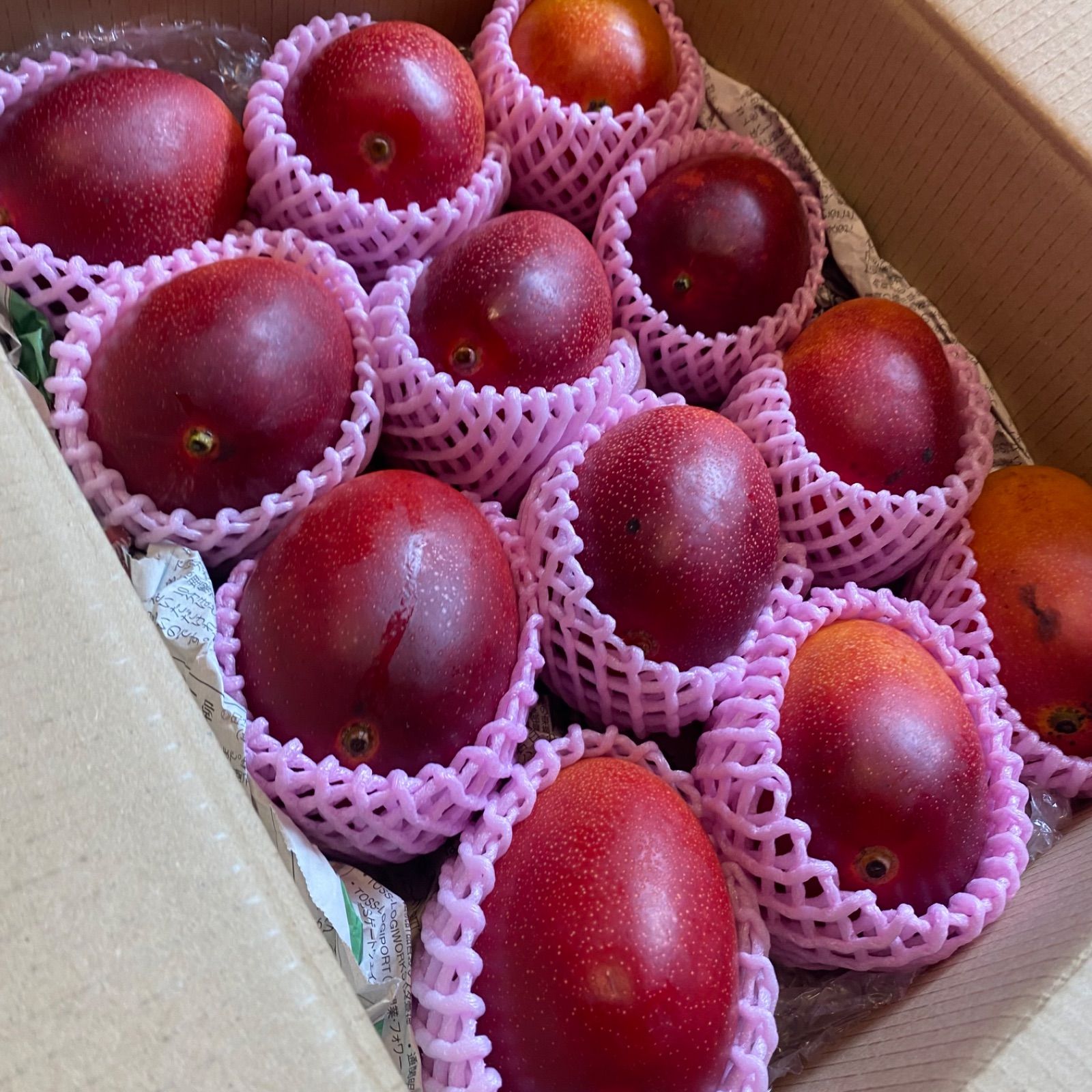 訳あり宮崎完熟マンゴー 12玉 約3.5kg - メルカリ