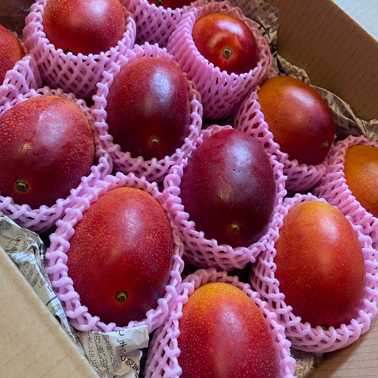 宮崎完熟マンゴー 訳あり 12玉 3.5kg 冷蔵発送 - メルカリ