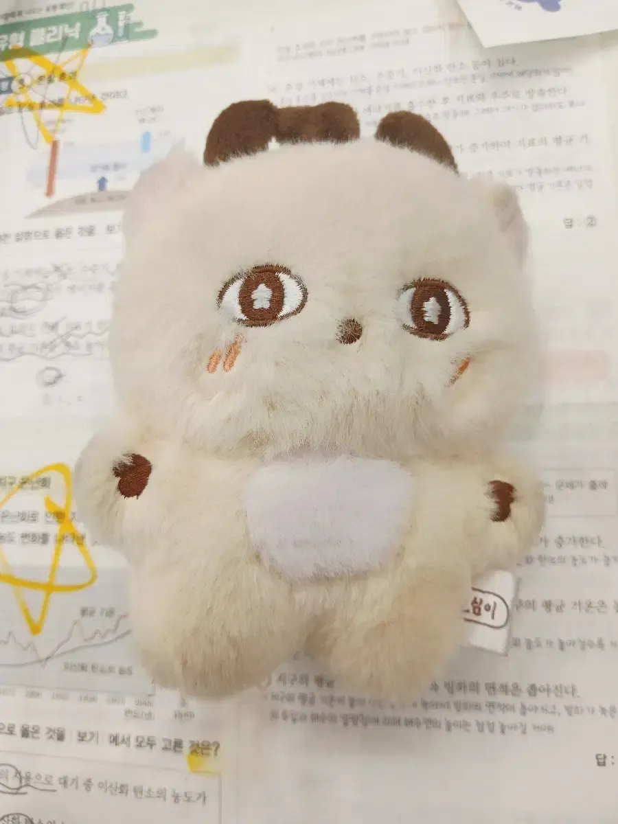 2026年最新】パクヒョンシク ぬいぐるみの人気アイテム - メルカリ