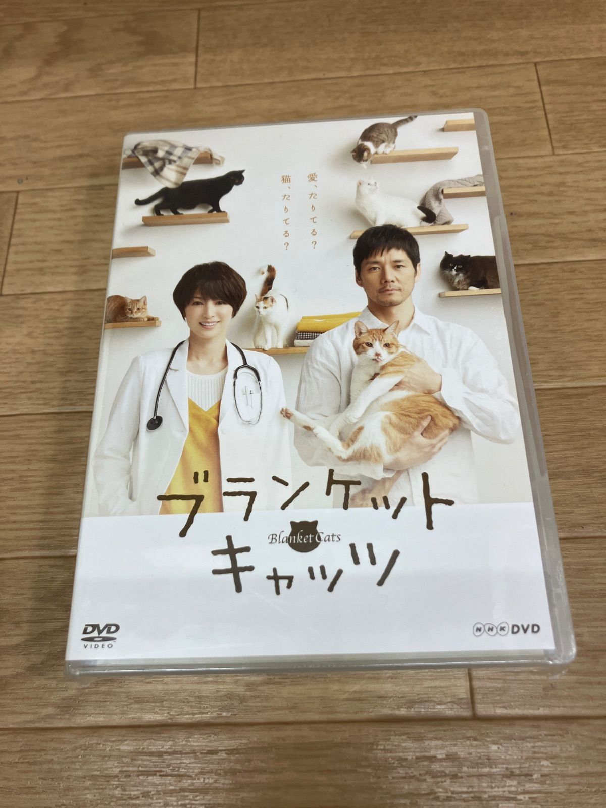 ☆【未開封】ブランケット・キャッツ DVD-BOX 西島秀俊 吉瀬美智子 ※難