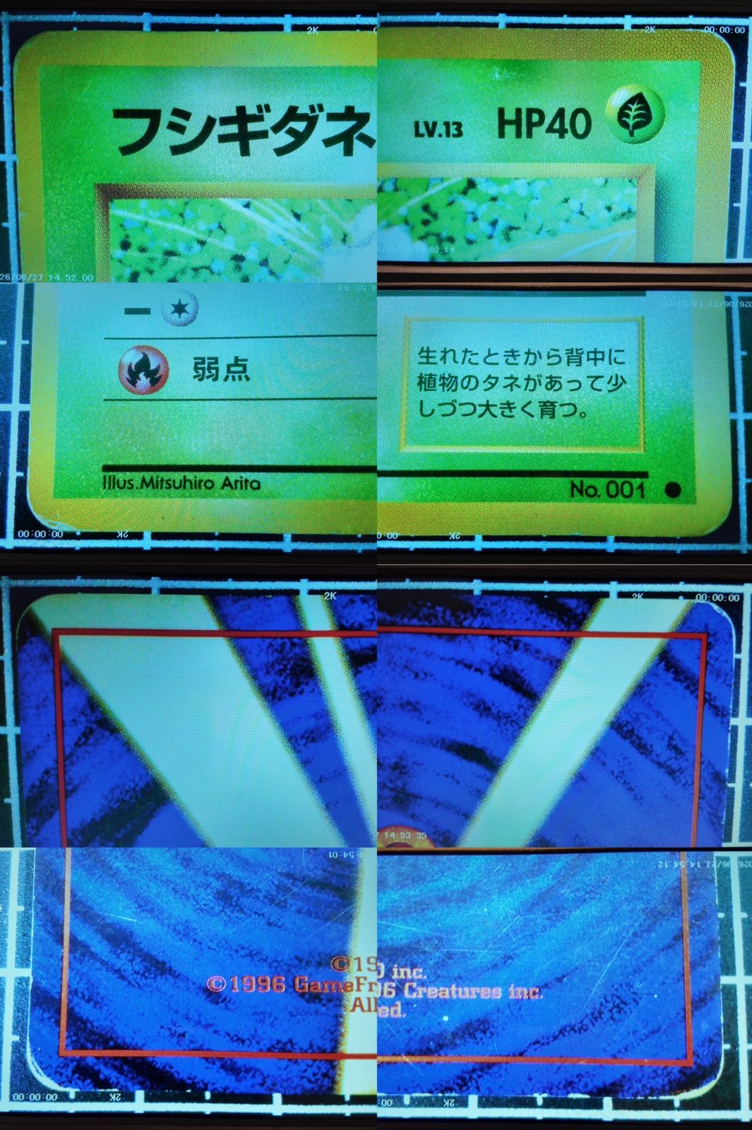 フシギダネ ○ : 旧裏 [PMCG1-2](拡張パック「ポケットモンスター