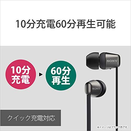 ソニー ワイヤレスイヤホン WI-C310 : Bluetooth対応/最大15時間連続再生/マイク付き フラットケーブル採用 2019年モデル ブラック WI-C310 BCry 7483f795