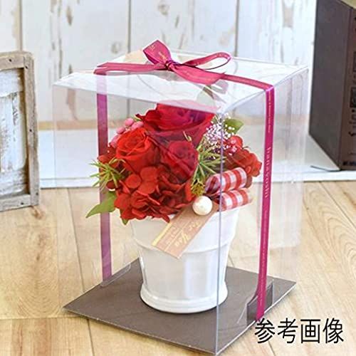 日本製 Mサイズ 平台紙付き 15cm×15cm×高さ20cm 5個クリアケース フラワーボックス ブーケケース プリザーブドフラワー フラワーアレジメント 花束 ギフトボックス ケース フィギュア ぬいぐるみ コレクションケースAR d746b870 日本製 Mサイズ 平台紙付き 15cm×15cm×高さ20cm 5個クリアケース フラワーボックス ブーケケース プリザーブドフラワー フラワーアレジメント 花束 ギフトボックス ケース フィギュア ぬいぐるみ コレクションケースAR d746b870