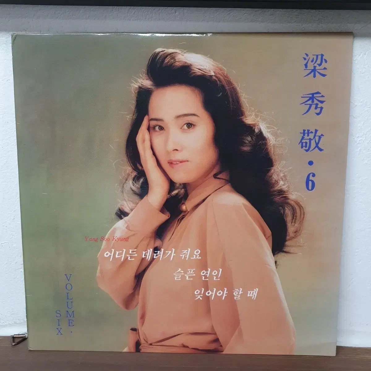 ヤン・スーギョン 6 家 LP 1993