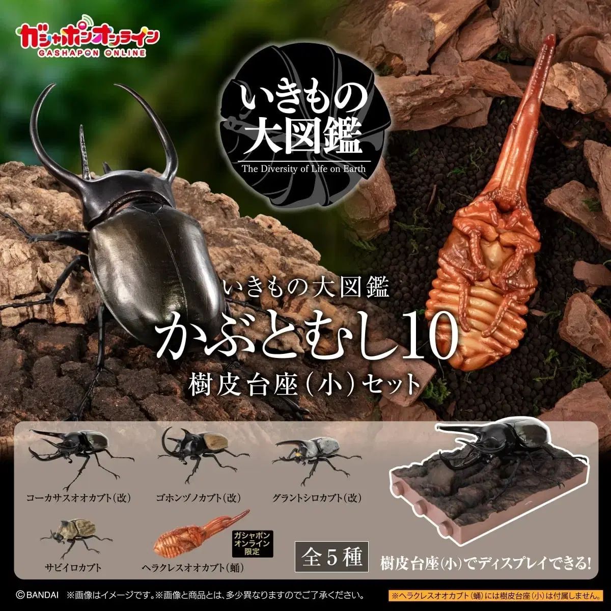 バンダイ いきもの大図鑑 カブトムシ 10タン オンラインバージョン フルセット + カプセル1種