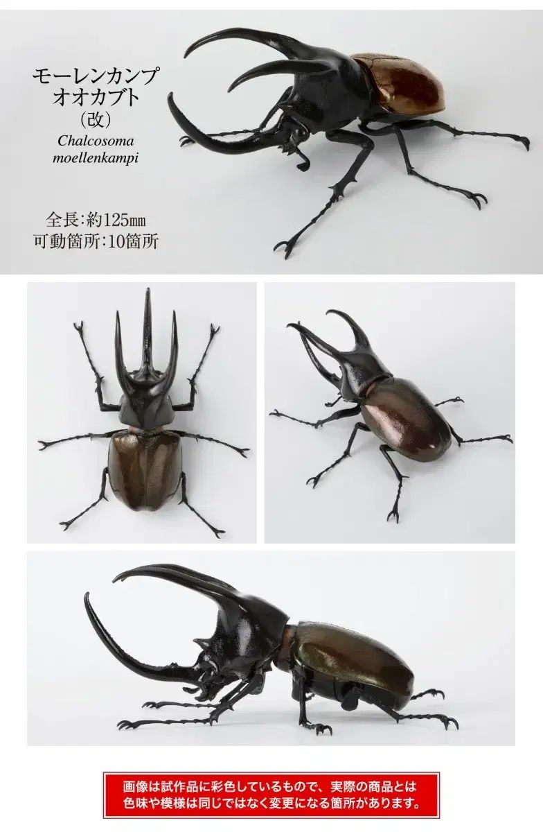 バンダイ いきもの大図鑑 カブトムシ 10タン オンラインバージョン フルセット + カプセル1種 バンダイ いきもの大図鑑 カブトムシ 10タン オンラインバージョン フルセット + カプセル1種