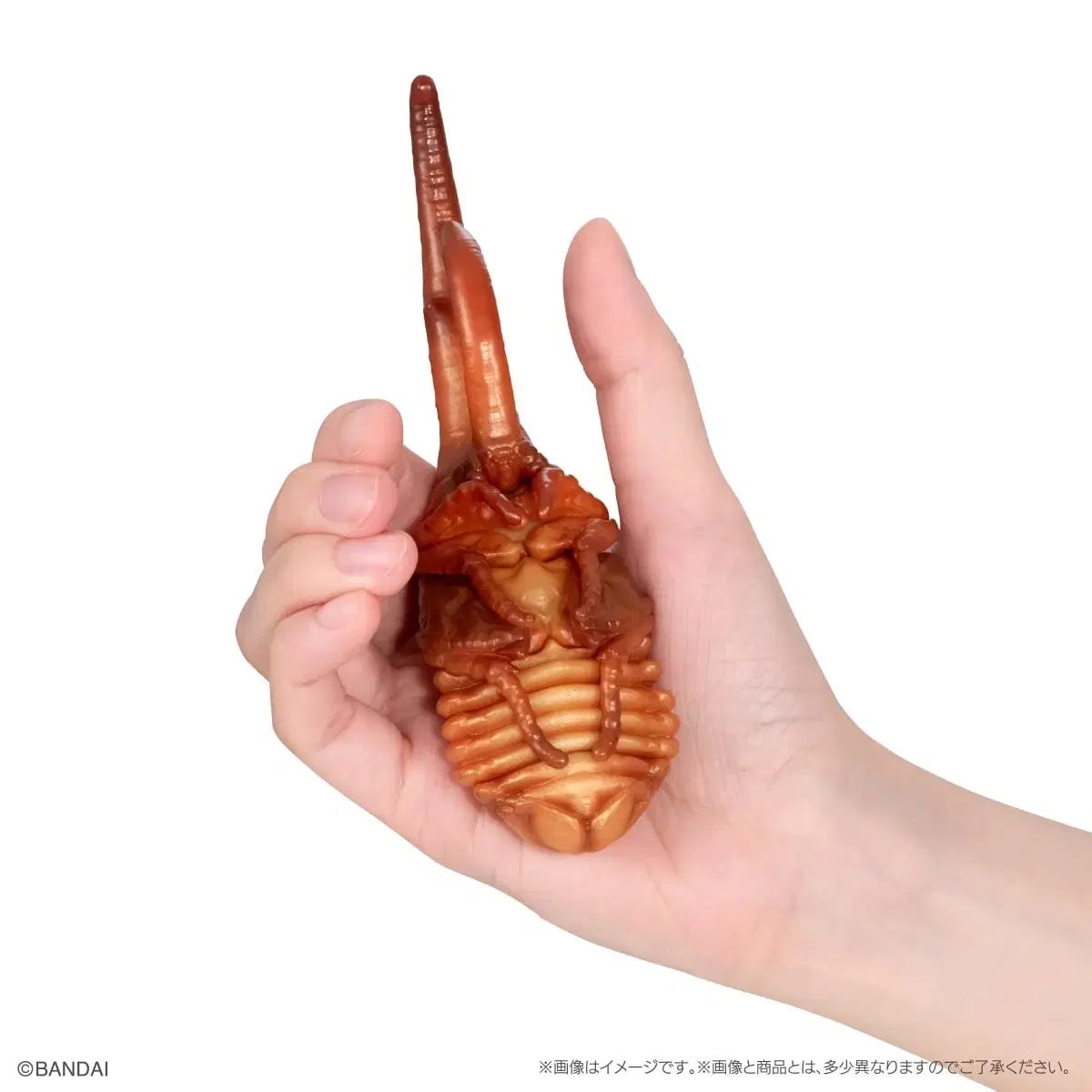 バンダイ いきもの大図鑑 カブトムシ 10タン オンラインバージョン フルセット + カプセル1種 バンダイ いきもの大図鑑 カブトムシ 10タン オンラインバージョン フルセット + カプセル1種