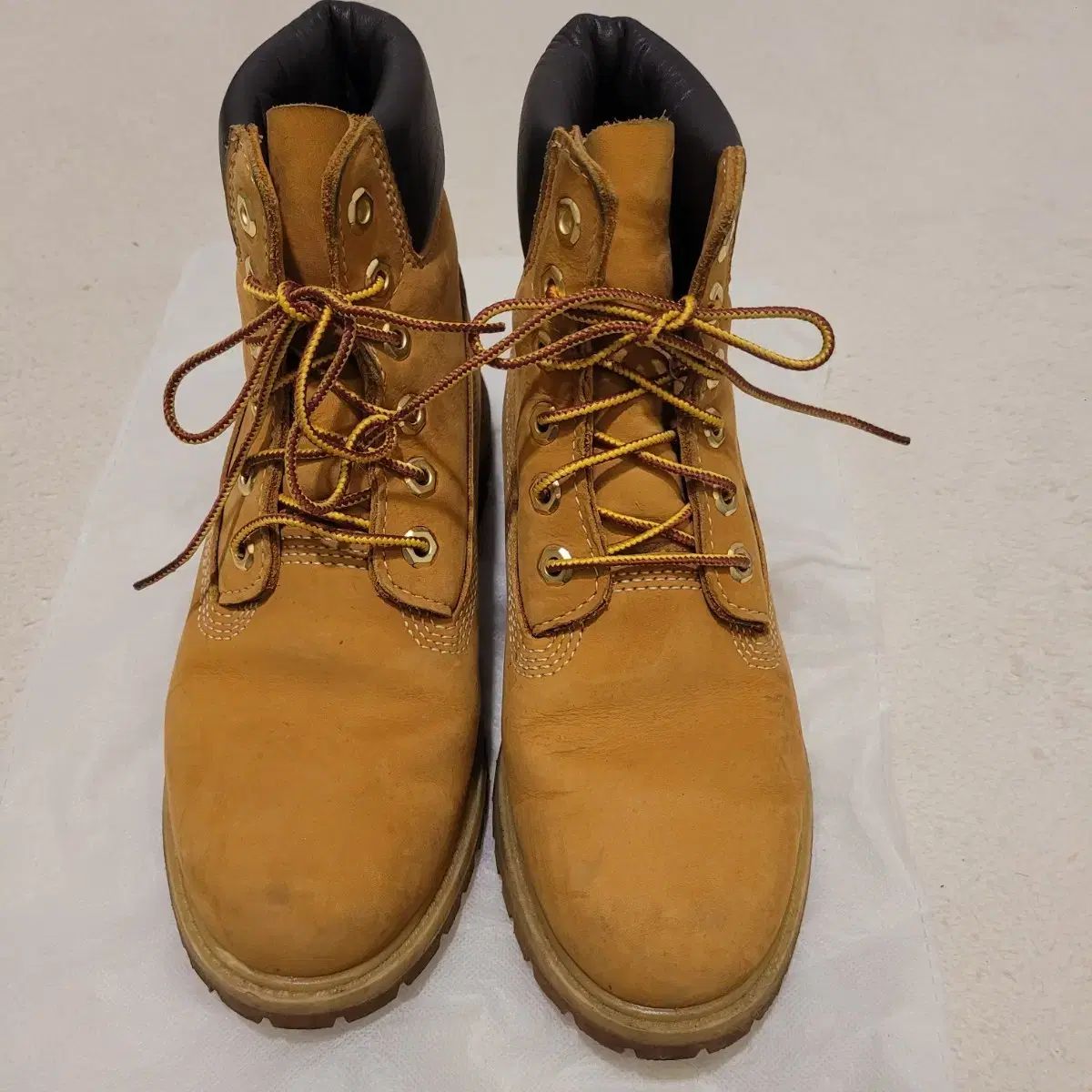 Timberland ウィメンズ 6インチ ブーツ 240