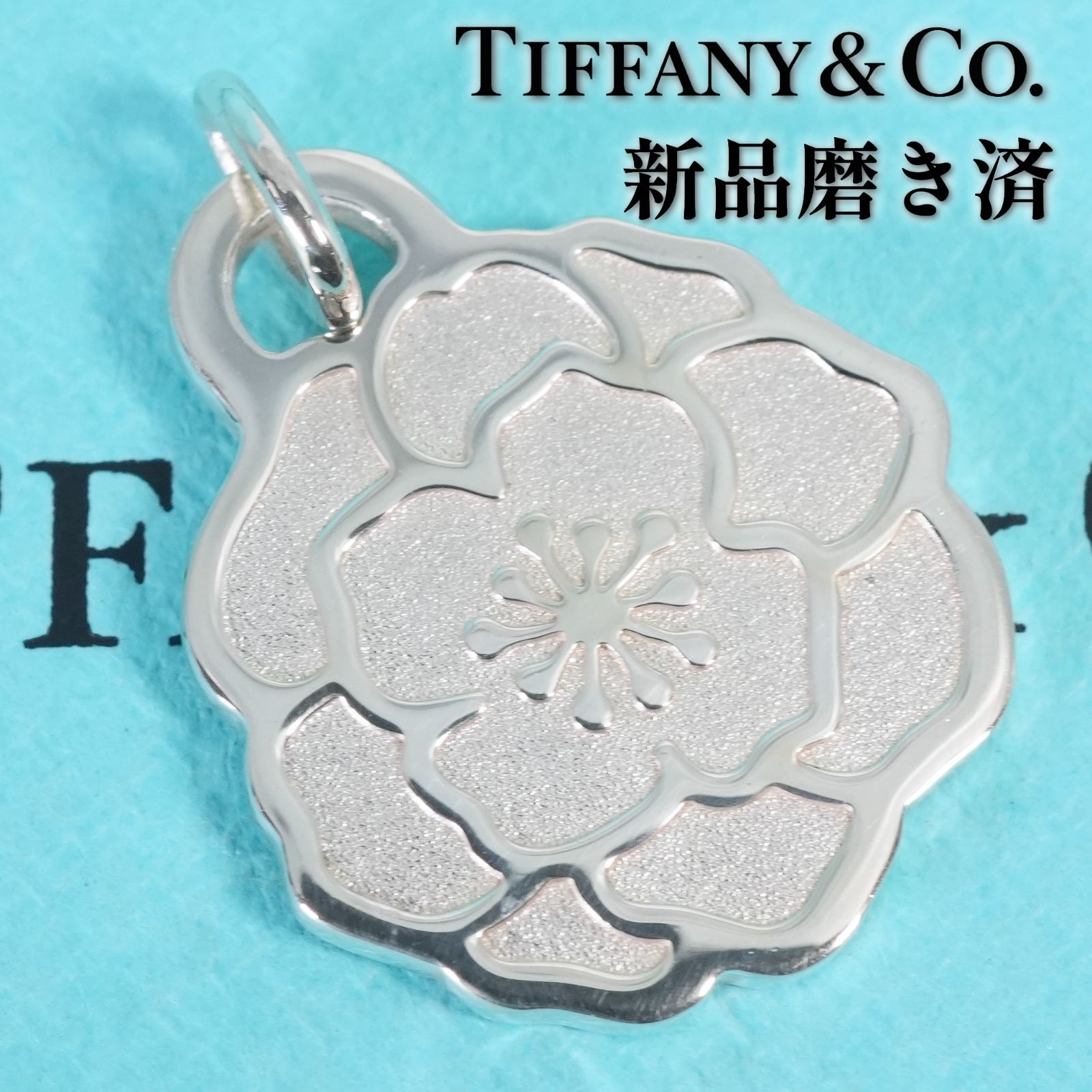 Tiffanyティファニー　2024年　ウィメンズマラソンネックレス　Ag925 ティファニー 2024 ウィメンズマラソン ペンダントトップ /26-0683