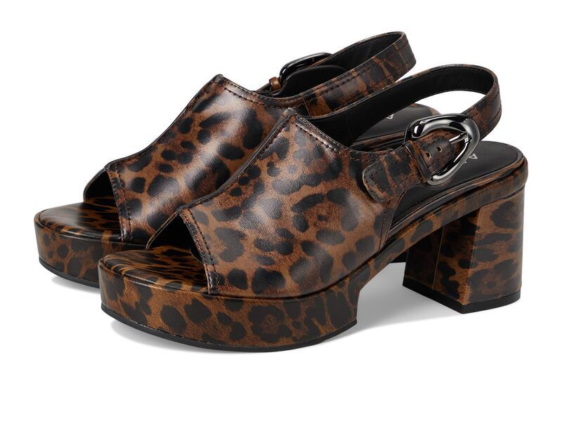 エアロソールズ レディース シューズ ヒール Aerosoles Zella Glossy