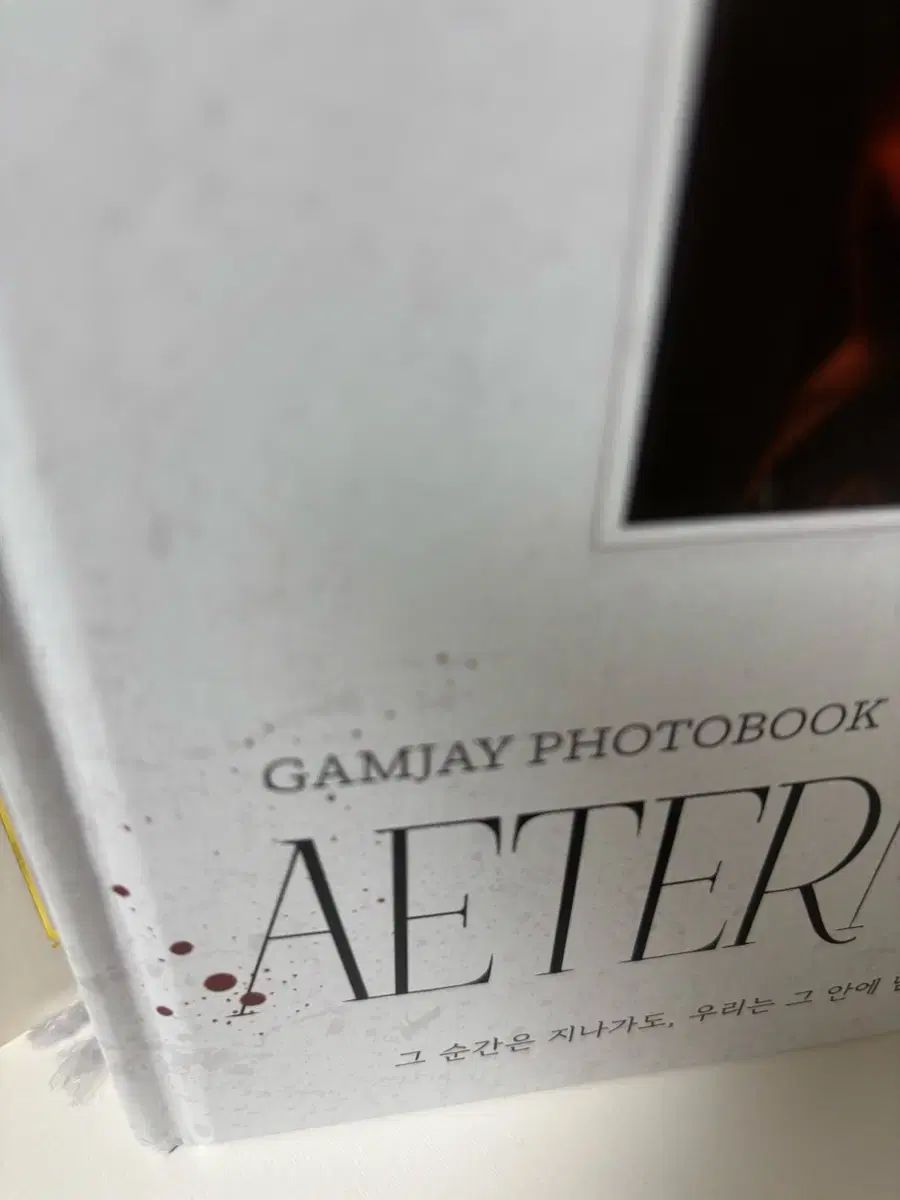 ジェイ コンサート グッズ (フォトブック PHOTOBOOK 個在庫あり)