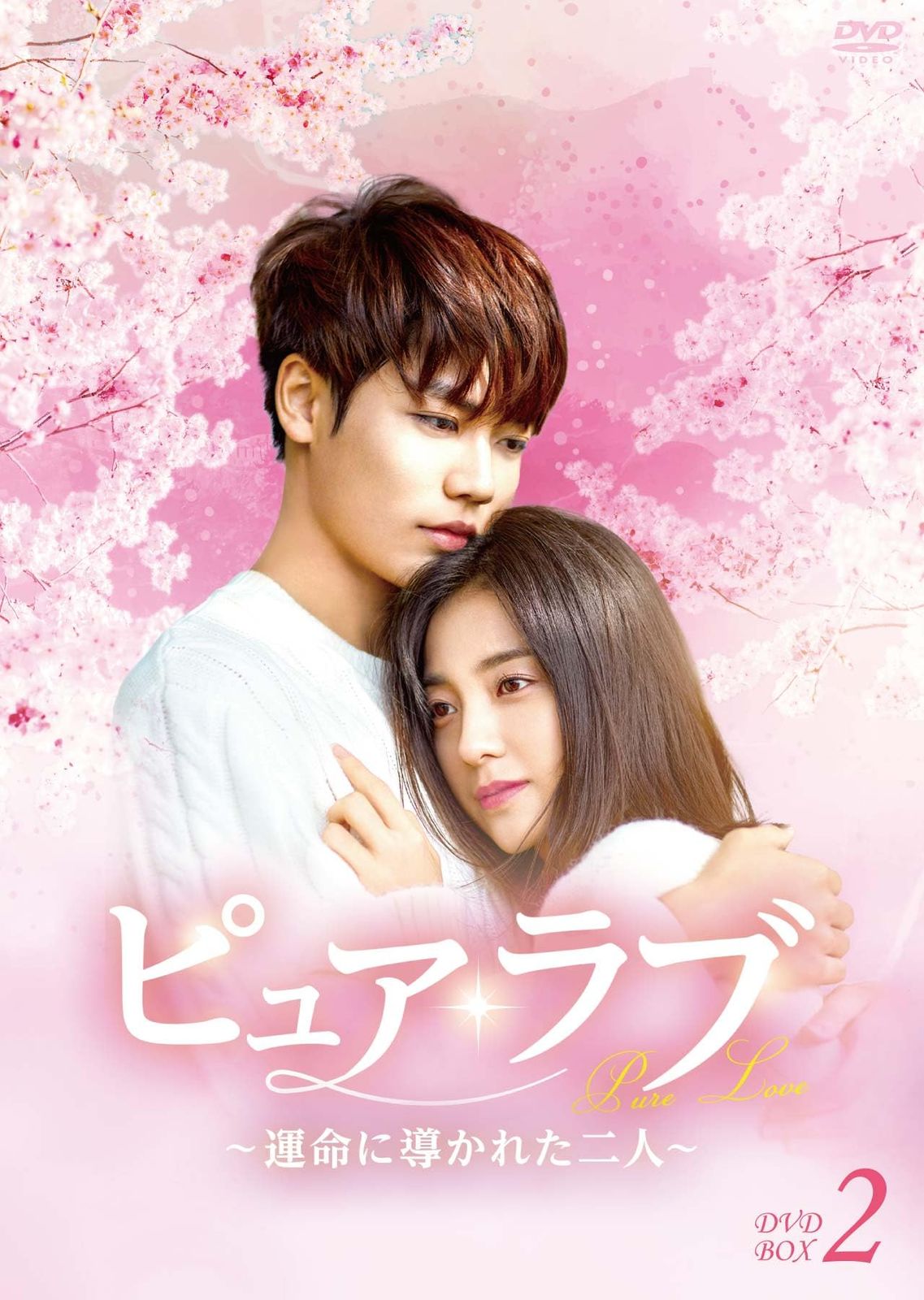 ピュア・ラブ ~運命に導かれた二人~ DVD-BOX2