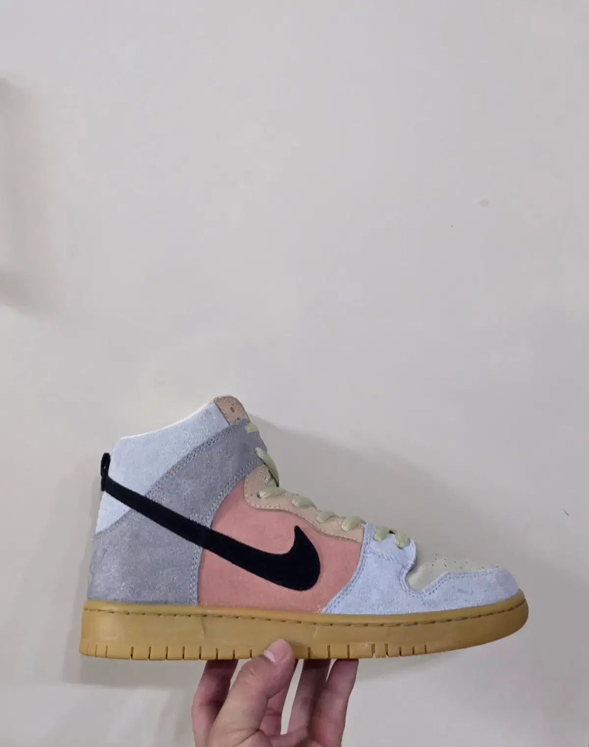 270 NIKE SB ダンク ハイ プロ Spectrumㅡ廃盤実物