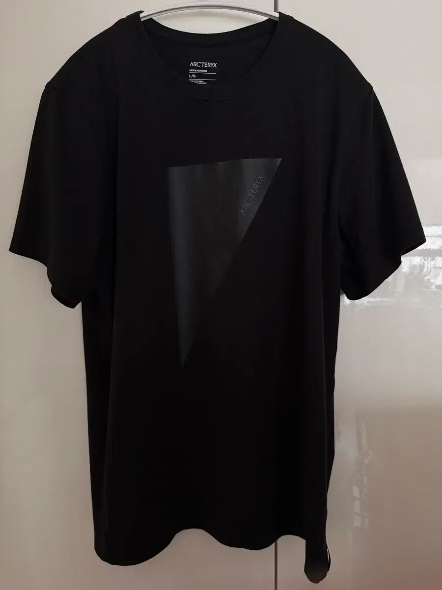ARC'TERYX アークテリクス コットン large ラージ 半袖