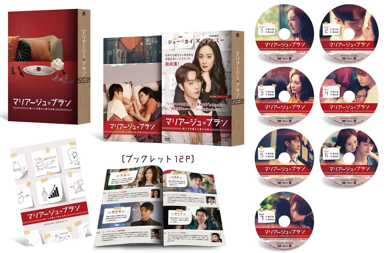 マリアージュ・ブラン～嘘つき弁護士の愛の法則～ DVD-BOX2(特典なし) [DVD]