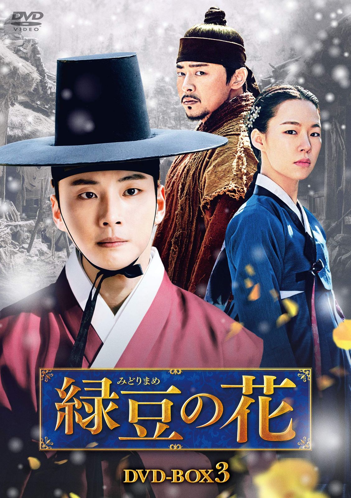 緑豆の花 DVD-BOX3 7,809円