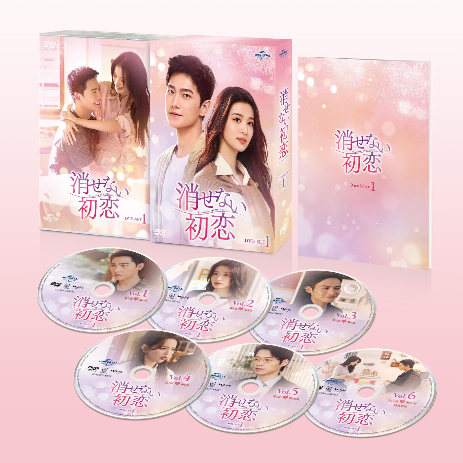 消せない初恋 DVD-SET1