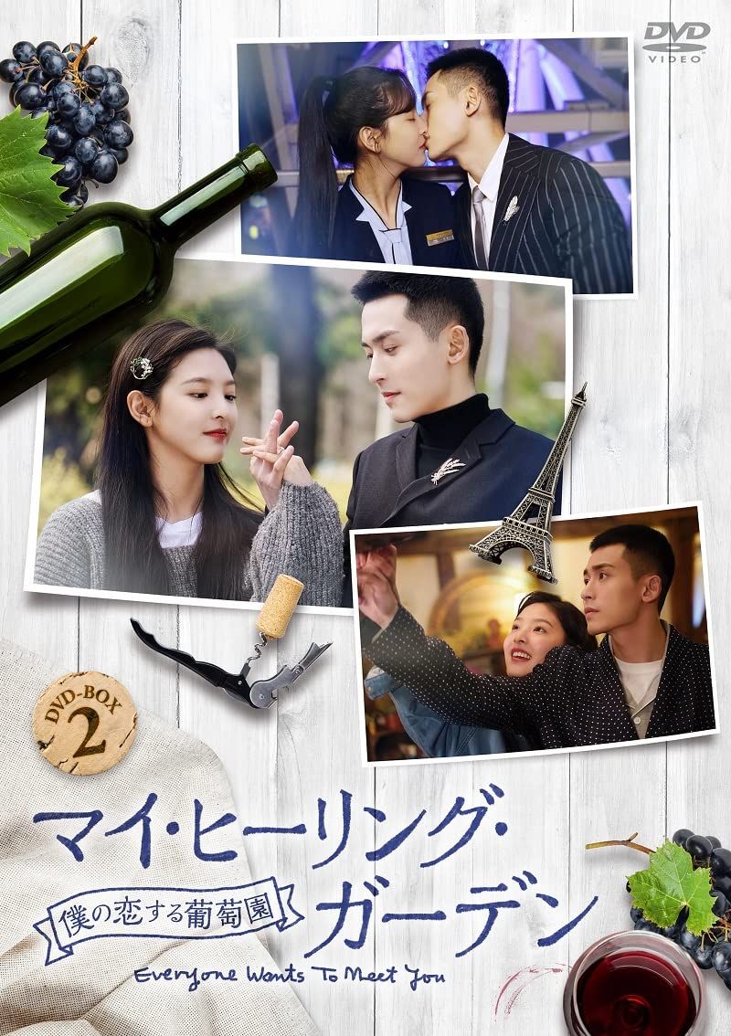 マイ・ヒーリング・ガーデン~僕の恋する葡萄園~ DVD-BOX2