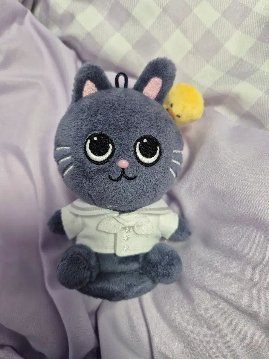 RIIZE(ライズ)アンコールコンサート アンコン MD マグネット ぬいぐるみ トゥー ぬいぐるみ