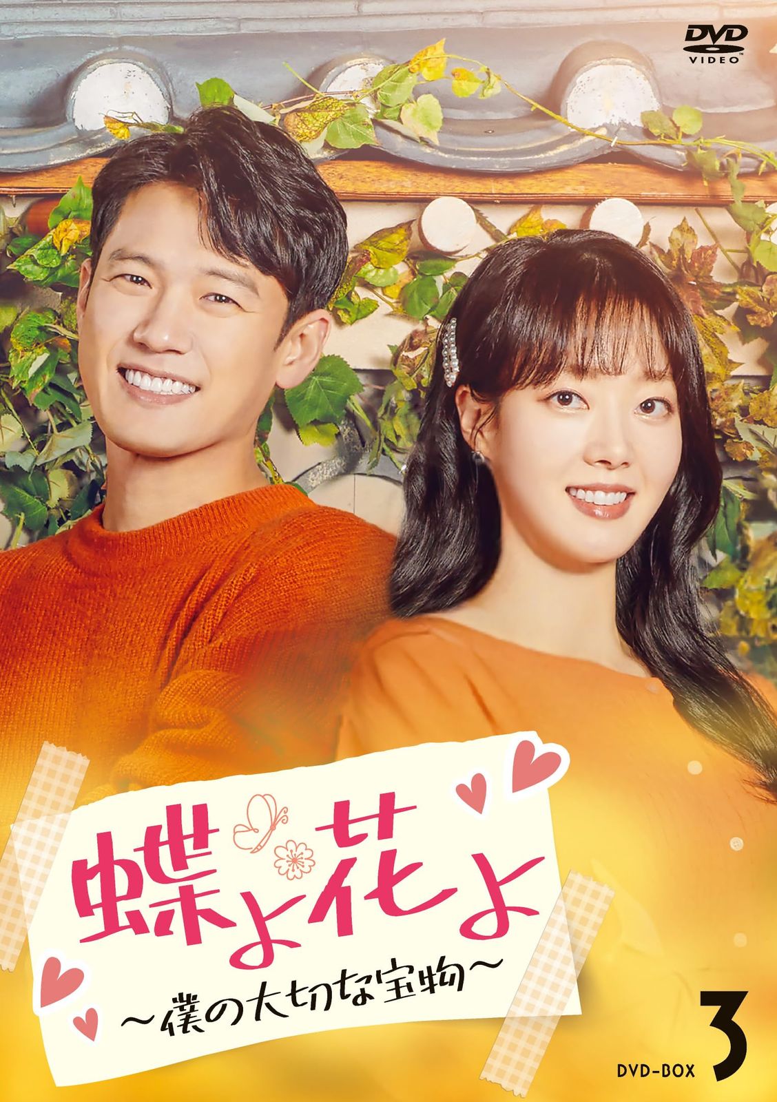 蝶よ花よ～僕の大切な宝物～　DVD-BOX3 [DVD]