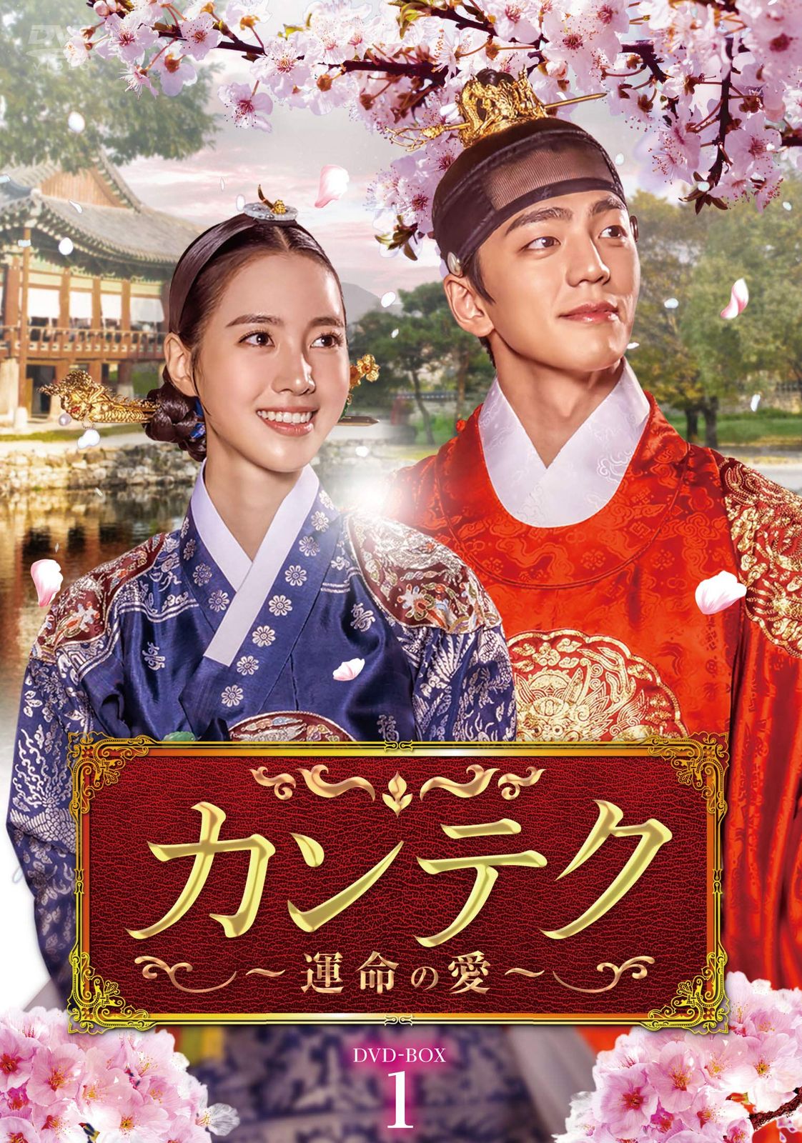 カンテク~運命の愛~ DVD-BOX1