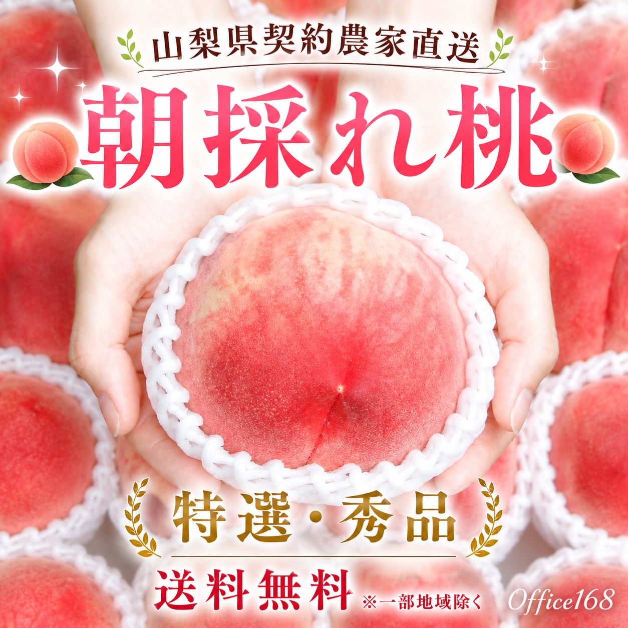【特秀品】山梨県笛吹市産 朝採れ樹上完熟桃 5kg（13～15玉）農家直送 ギフト お中元