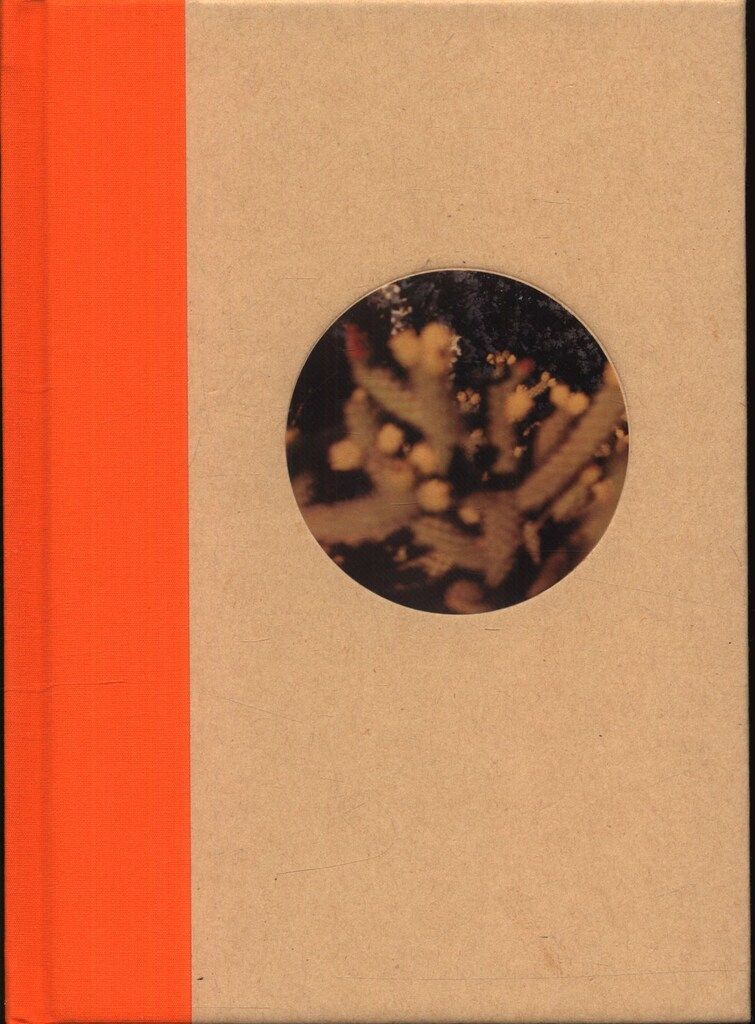 サイン入り One Picture Book Two #51 池田葉子 Desert Daze