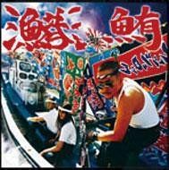 (CD)鮪／漁港