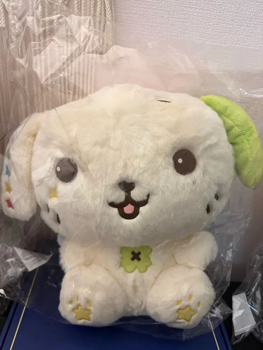 30cm 룐룐 未開封