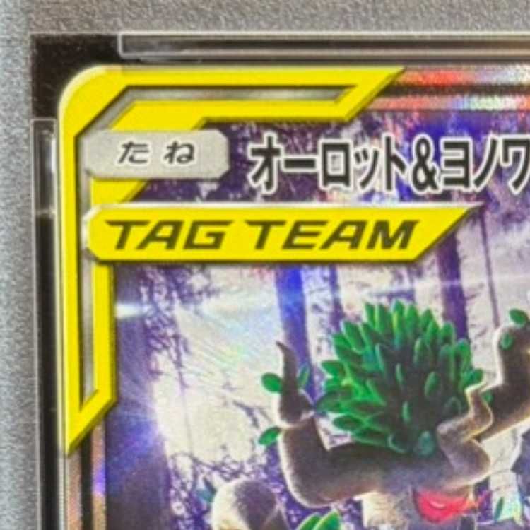 PSA10】オーロット&ヨノワールGX SR 179/173 1枚 - メルカリ
