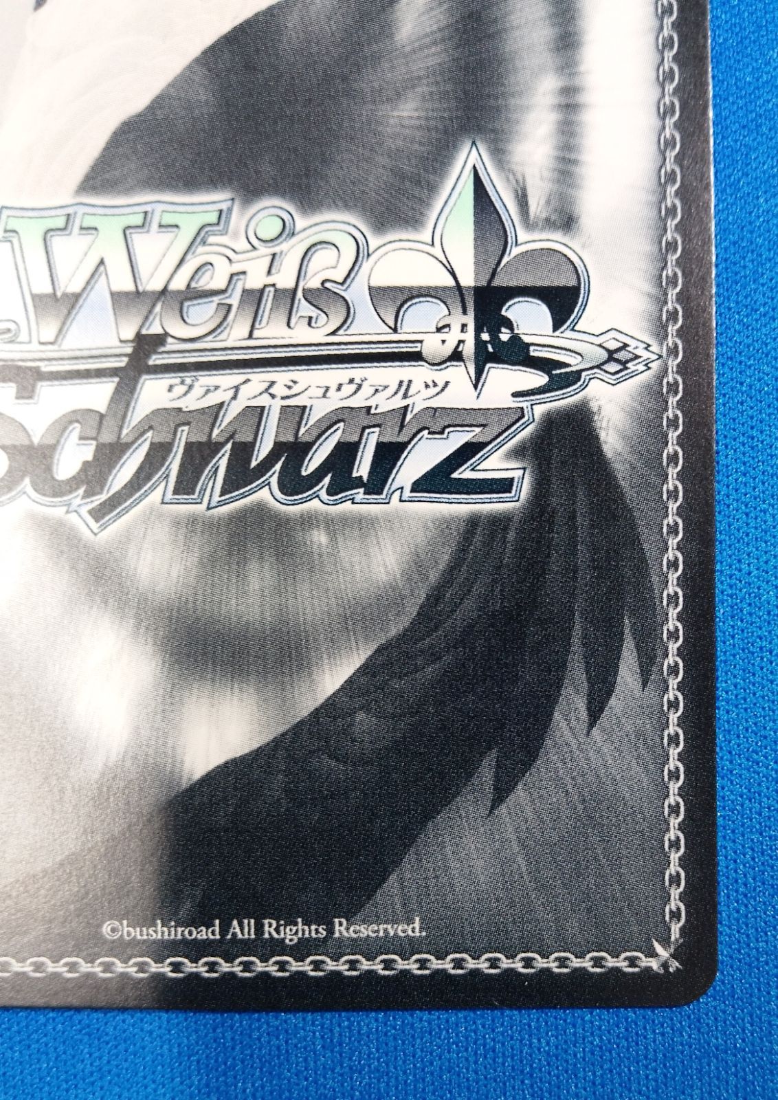 ヴァイスシュヴァルツ 十天衆を総べし者 主人公(男) TDSP GBF/S134