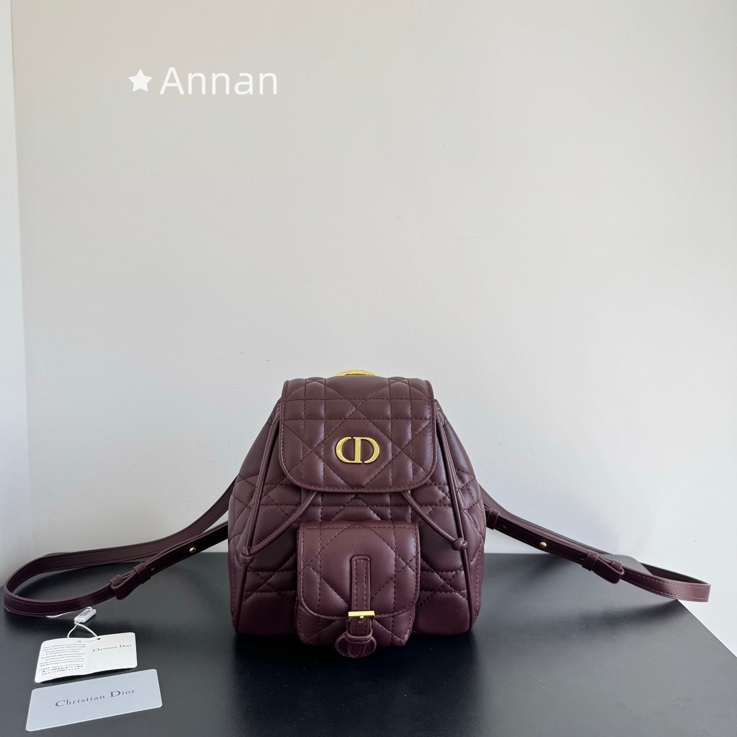 大幅値下げ レディース Christian Dior クリスチャンディオール リュック Mini バックパック