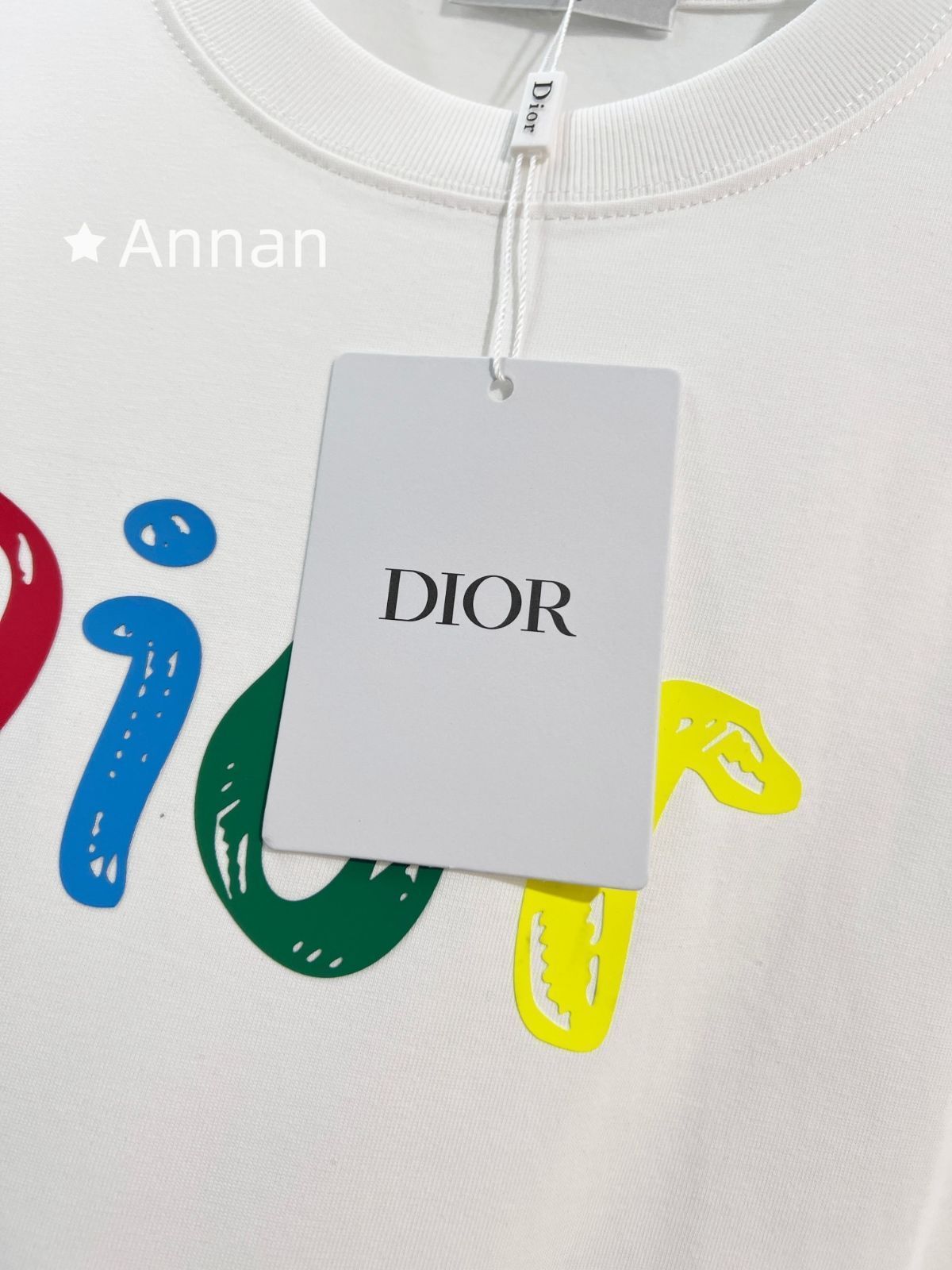 【未使用品】最終値下げ Christian Dior クリスチャンディオール Tシャツ　半袖　夏服　トップス 男女兼用