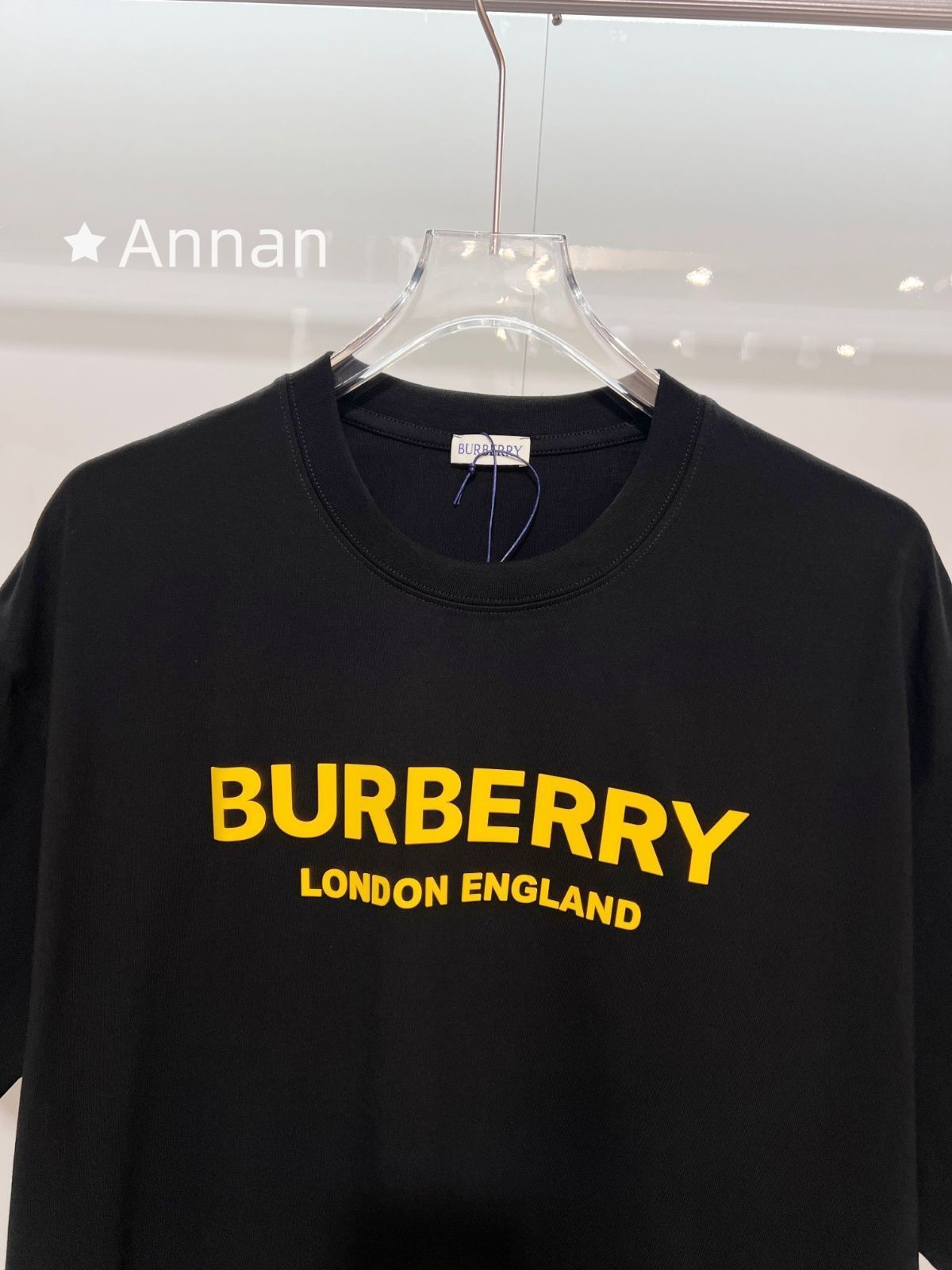 人気 超美品BURBERRY バーバリー Tシャツ　半袖　夏服　トップス 男女兼用