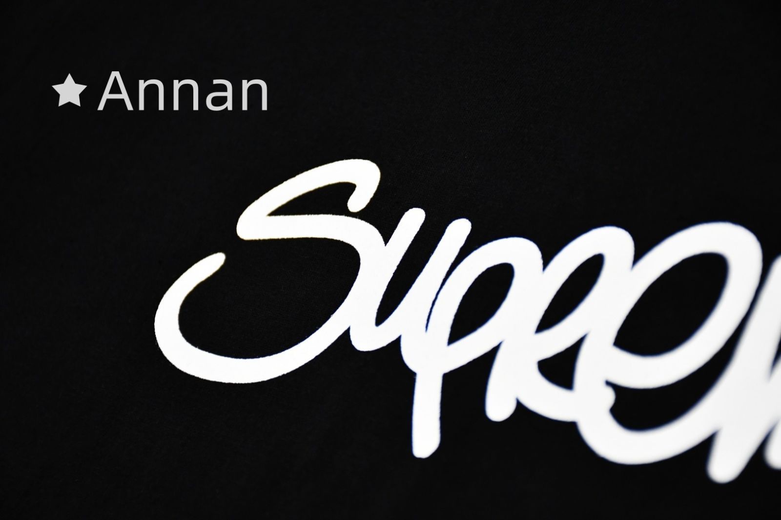 限界価格 SUPREME シュプリーム Tシャツ　半袖　夏服　トップス 男女兼用